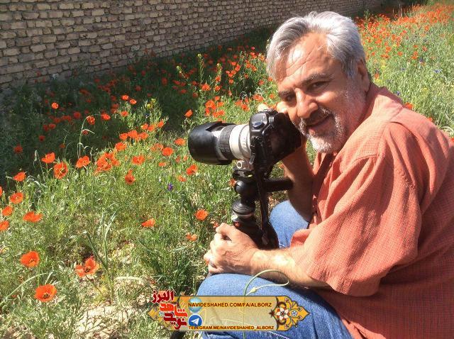 شکارچی لحظه های ایثار، مقاومت و پیروزی در قاب تصویر و تعبیر شکارچی لحظه های ایثار، مقاومت و پیروزی در قاب تصویر و تعبیر
