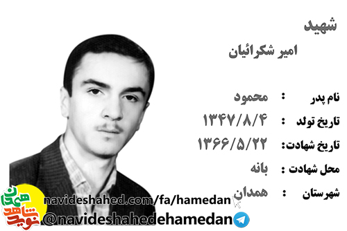 من راه خود را با معرفت پیدا کردم شما نیز دنبال رو راه شهیدان باشید من راه خود را با معرفت پیدا کردم شما نیز دنبال رو راه شهیدان باشید