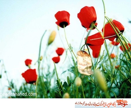 شهید جعفر قاسمی/ وابستگان شرق و غرب بدانند، هرگز نمی توانند سد راه انقلاب شوند