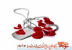 زندگینامه و وصیت نامه شهید مهدی پژنگ
