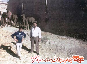 قبرسید جواد مانند جده سادات مفقود است قبرسید جواد مانند جده سادات مفقود است