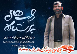 برگزاری مراسم «شب های پر ستاره» در گلزار شهدای بوشهر