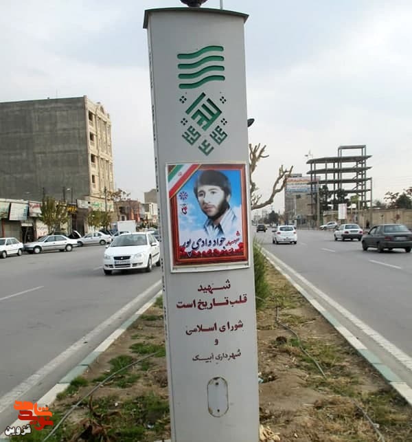 تصاویر ۹۲ شهید در تابلو‌های تصاویر شهدای آبیک نصب شد