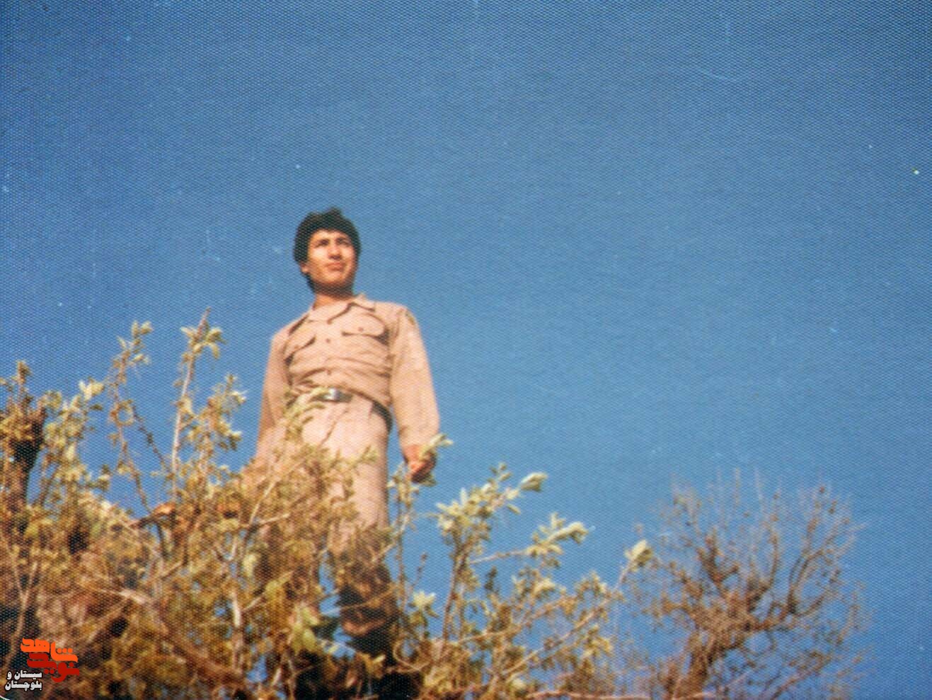 آلبوم تصاویر شهید«ماشاءالله میردادی کهن» منتشر شد