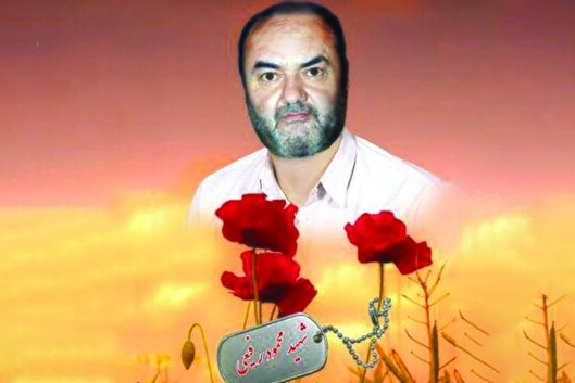آیت‌الله بهجت در خواب به شهید «رفیعی» چه...