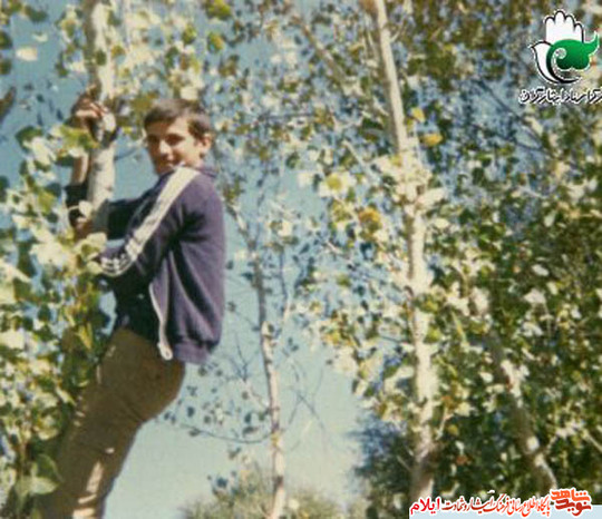 تکاور شهید احمد شریف زادی از شهدای استان ایلام