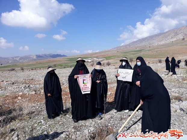 کاشت نهال به نام و ياد زنان شهیده و جانباز شهرستان ملکشاهی