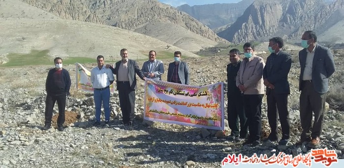 کاشت نهال به نام و ياد زنان شهیده و جانباز شهرستان ملکشاهی