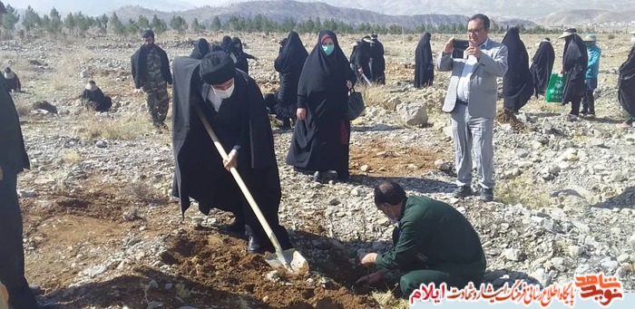 کاشت نهال به نام و ياد زنان شهیده و جانباز شهرستان ملکشاهی