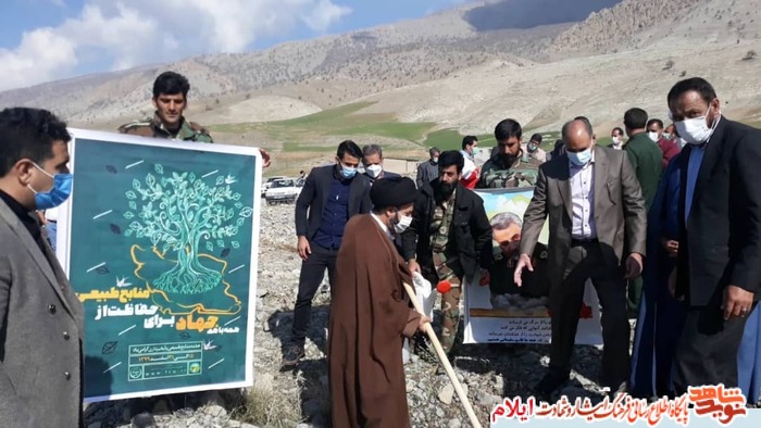 کاشت نهال به نام و ياد زنان شهیده و جانباز شهرستان ملکشاهی