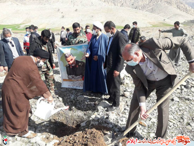 کاشت نهال به نام و ياد زنان شهیده و جانباز شهرستان ملکشاهی